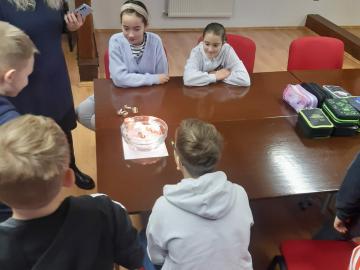 (c) Bc. Hana Kolegarová