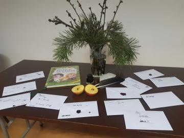 (c) Bc. Hana Kolegarová